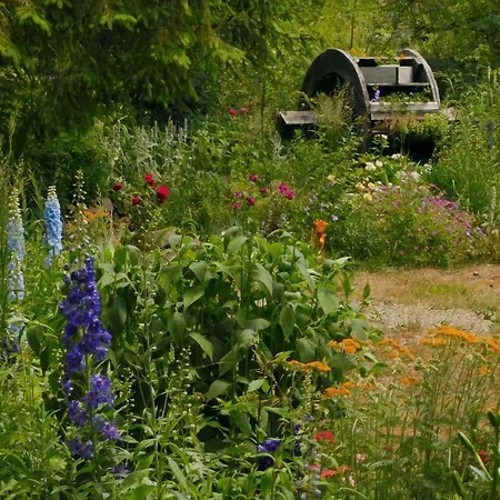 Maramuresul Stravechi Casa di campagna