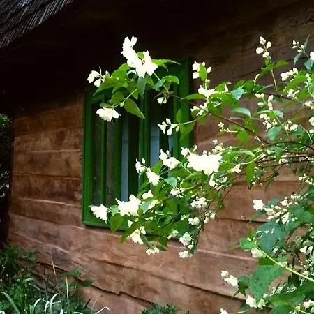 Maramuresul Stravechi Landsted